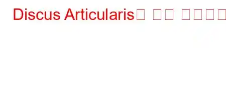 Discus Articularis은 무슨 뜻인가요